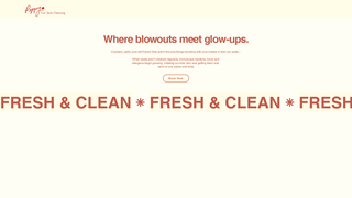 Thumbnail of poppycarseatcleaning.com