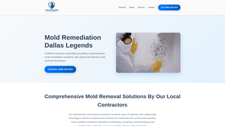 Thumbnail of moldremediationdallaslegends.com