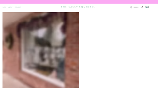 Screenshot of shopsassynow.com