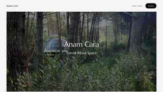 Thumbnail of anamcarasintra.com