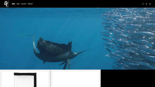 Thumbnail of cayotrollers.com