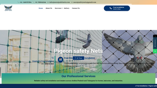 Thumbnail of neerajsafetynets.com