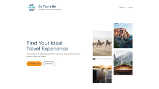 Thumbnail of gotoursgo.com