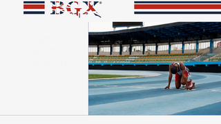 Thumbnail of bgx-uk.com