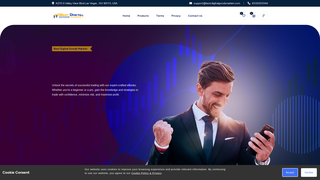 Thumbnail of bestdigitalgoodsmarket.com