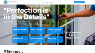 Thumbnail of perfectionwindowcleaning.com