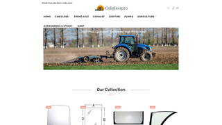 Thumbnail of cabglasspro.com
