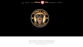 Thumbnail of doneyuno.com