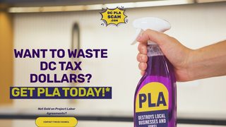 Thumbnail of dcplascam.com