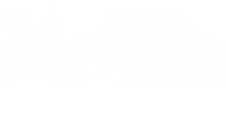 Thumbnail of centralcrediticf.com