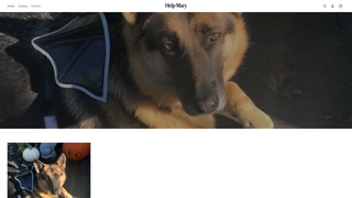 Thumbnail of help-mary.com