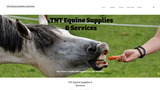 Thumbnail of tntequineservices.com