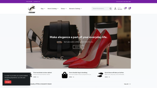 Thumbnail of zyricshop.com