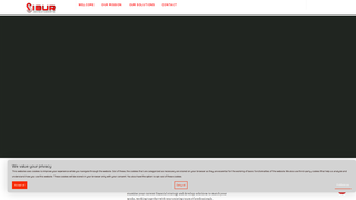 Thumbnail of sibur-investments.com