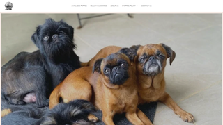 Thumbnail of brusselsgriffonhome.com