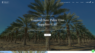 Thumbnail of arslandatepalmtrees.com