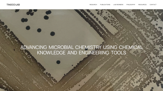 Thumbnail of tinocolab.com