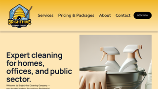 Thumbnail of brighthivecleaning.com