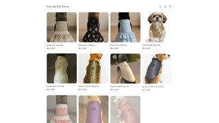 Thumbnail of petvillepetstore.com