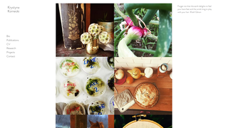 Thumbnail of krysiakornecki.com