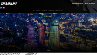 Thumbnail of versatilerp.com