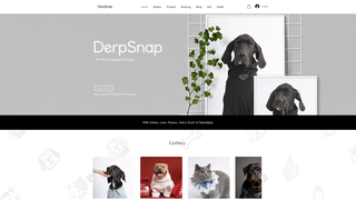 Thumbnail of derpsnap.com