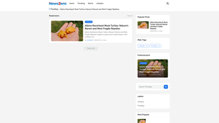 Thumbnail of news2era.com