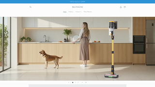 Thumbnail of blossomeu.com