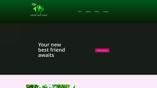 Thumbnail of lucidlabmedia.com