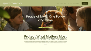 Thumbnail of nesteggpolicy.com