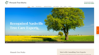 Thumbnail of pinnacletreeworks.net