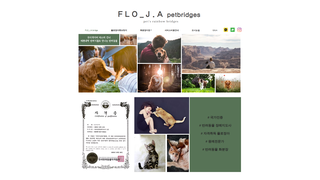 Thumbnail of flojapetbridges.com