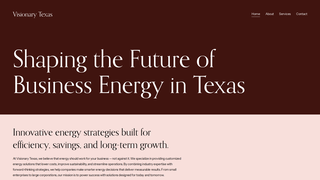 Thumbnail of visionarytexas.com