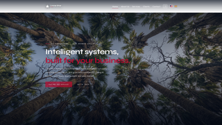 Screenshot of lssctx.com