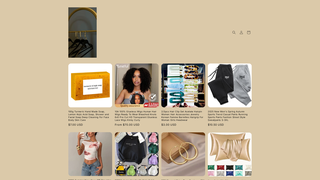 Thumbnail of danatouchstore.com