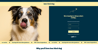 Thumbnail of beekinddog.com