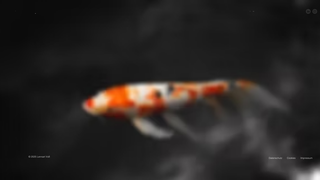 Thumbnail of levo-xyz.com