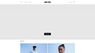 Thumbnail of amicidion.com