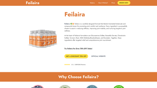 Thumbnail of us-us-feilara.com
