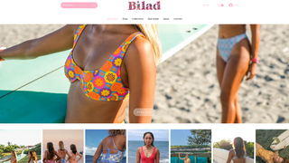 Thumbnail of biladswim.com