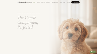 Screenshot of willowcreekcavapoos.com