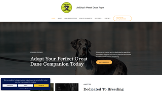 Thumbnail of ashleysgreatdanepuppies.com