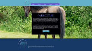 Thumbnail of daretodreamequine.com
