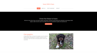 Thumbnail of sassybobsdogs.com