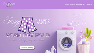 Thumbnail of fancypantslaundryco.com