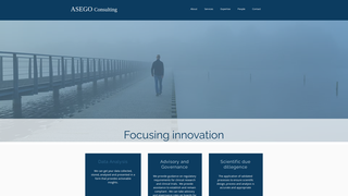 Thumbnail of asegoconsulting.com