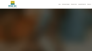 Thumbnail of riseschub.org