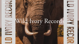 Thumbnail of wildivoryrecords.com