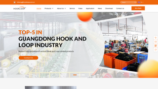 Thumbnail of dsxhookloop.com