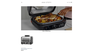 Thumbnail of anastefy.com